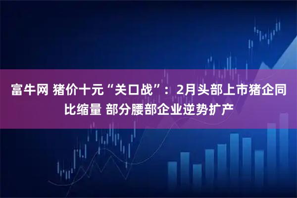 富牛网 猪价十元“关口战”：2月头部上市猪企同比缩量 部分腰部企业逆势扩产