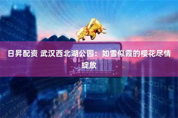 日昇配资 武汉西北湖公园：如雪似霞的樱花尽情绽放