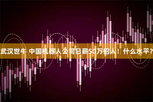 武汉世牛 中国机器人公司日薪50万招人！什么水平？