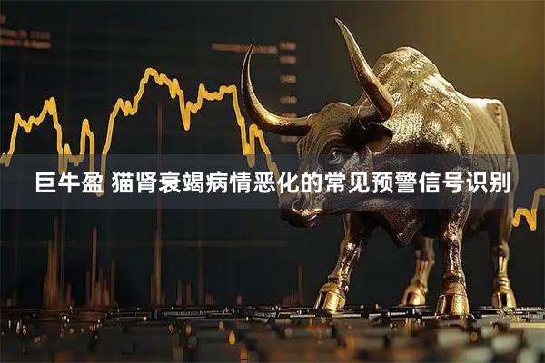 巨牛盈 猫肾衰竭病情恶化的常见预警信号识别