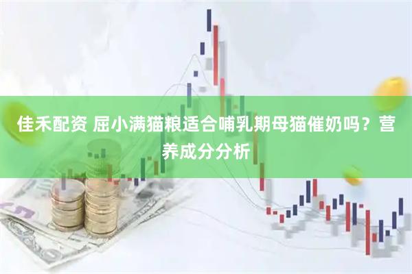 佳禾配资 屈小满猫粮适合哺乳期母猫催奶吗？营养成分分析