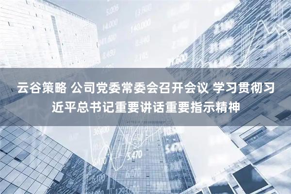 云谷策略 公司党委常委会召开会议 学习贯彻习近平总书记重要讲话重要指示精神