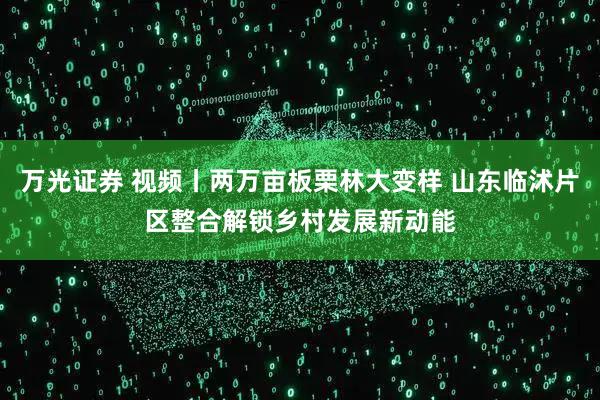 万光证券 视频丨两万亩板栗林大变样 山东临沭片区整合解锁乡村发展新动能