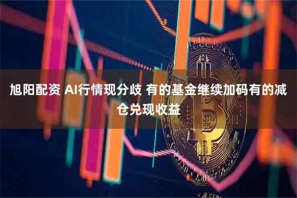 旭阳配资 AI行情现分歧 有的基金继续加码有的减仓兑现收益